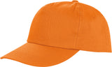 5 Panel Polyester Kappe